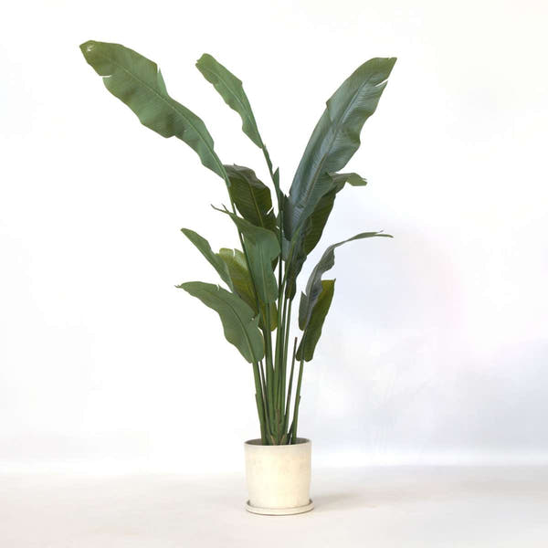 Kunstplant Strelitzia Xxl