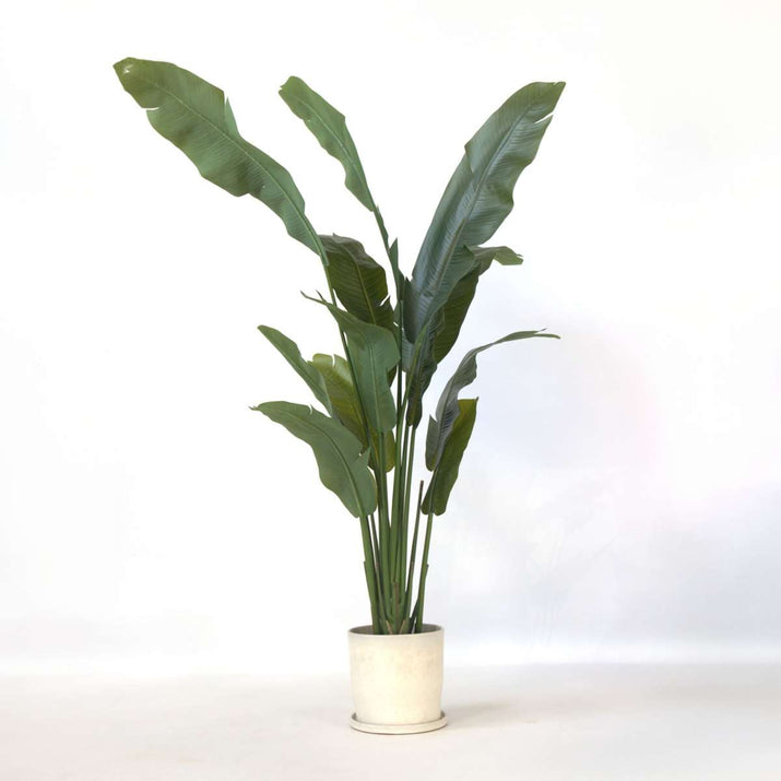 Kunstplant Strelitzia Xxl