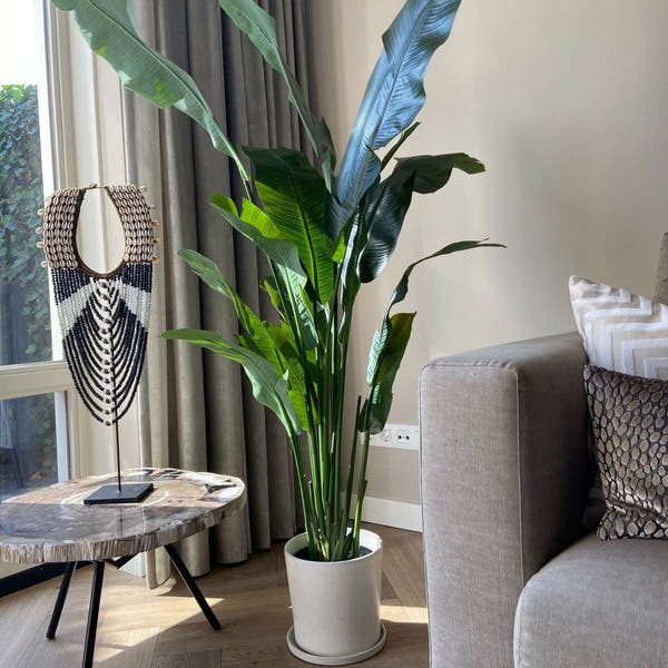Kunstplant Strelitzia Xxl