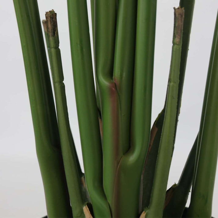 Kunstplant Strelitzia Xxl