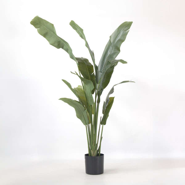 Kunstplant Strelitzia Xxl