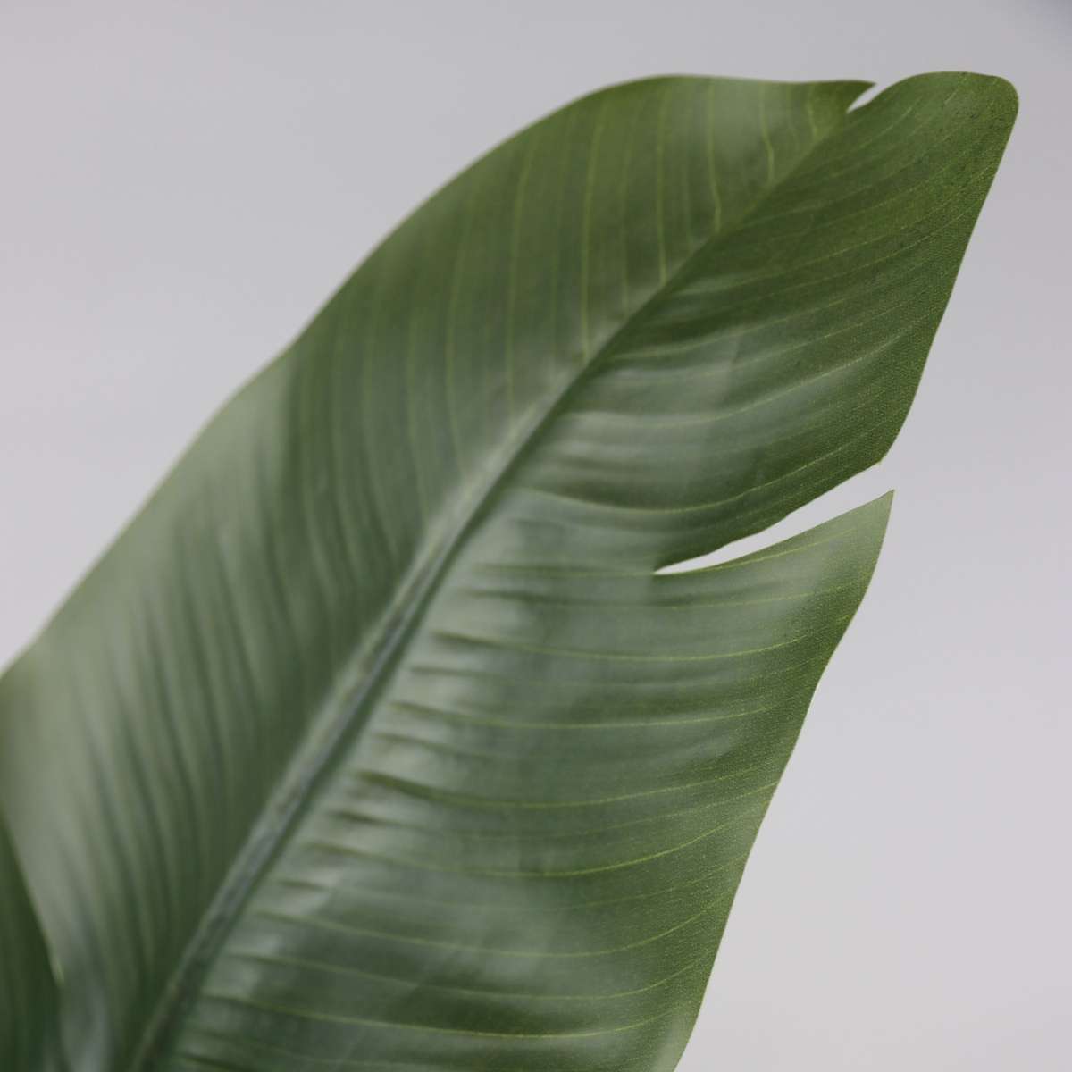 Kunstplant Strelitzia Xxl