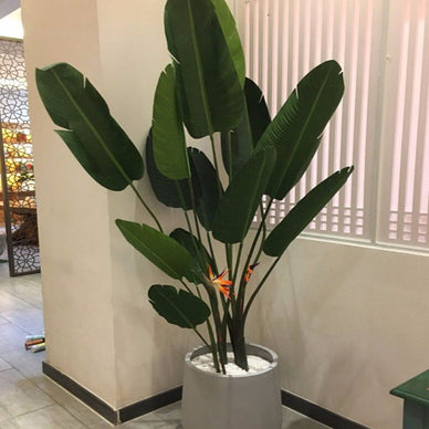 Stwórz oazę spokoju w swoim życiu.